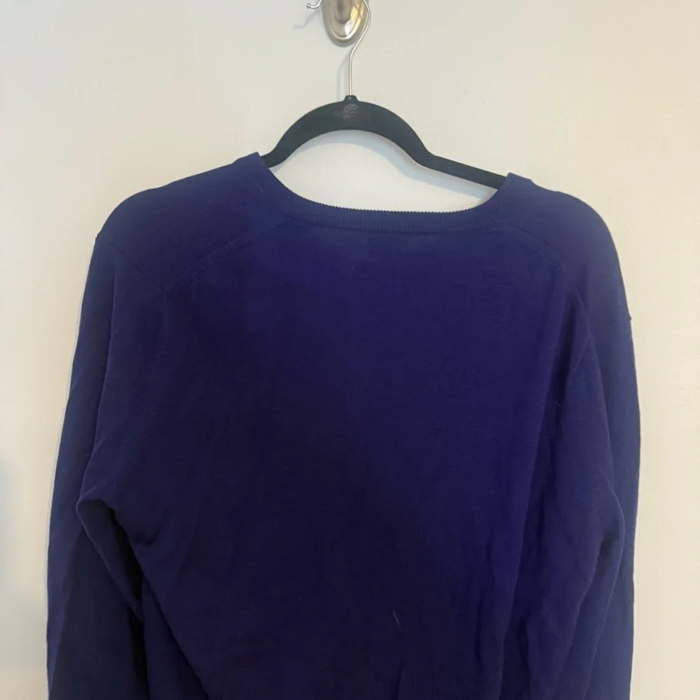 Men’s J.Crew Blue Italian Merino Wool V Neck Sweater